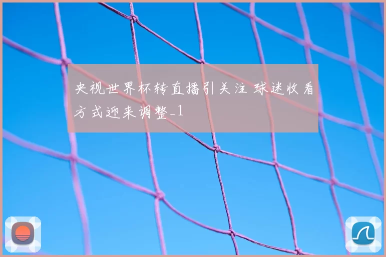 央视世界杯转直播引关注 球迷收看方式迎来调整_1