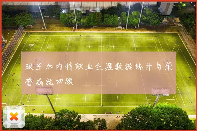 狼王加内特职业生涯数据统计与荣誉成就回顾