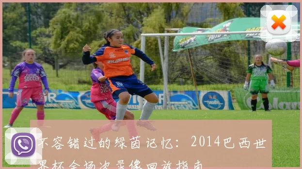 不容错过的绿茵记忆：2014巴西世界杯全场次录像回放指南