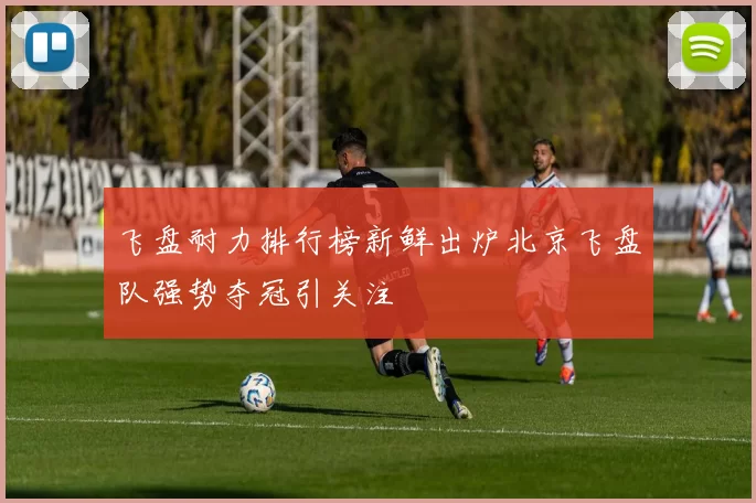 飞盘耐力排行榜新鲜出炉北京飞盘队强势夺冠引关注