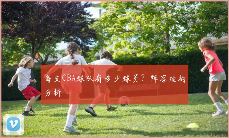 每支CBA球队有多少球员?阵容结构分析