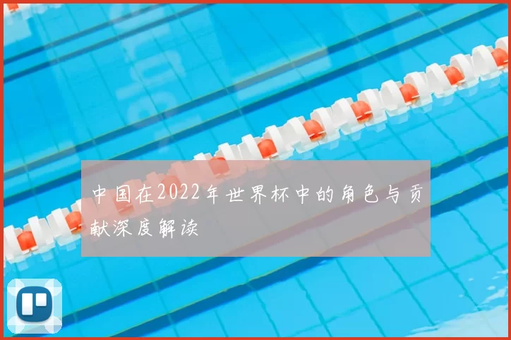 中国在2022年世界杯中的角色与贡献深度解读