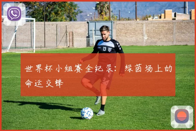 世界杯小组赛全纪录:绿茵场上的命运交锋
