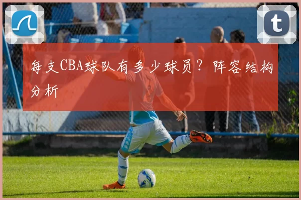 每支CBA球队有多少球员?阵容结构分析