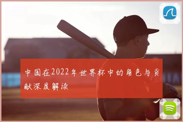 中国在2022年世界杯中的角色与贡献深度解读