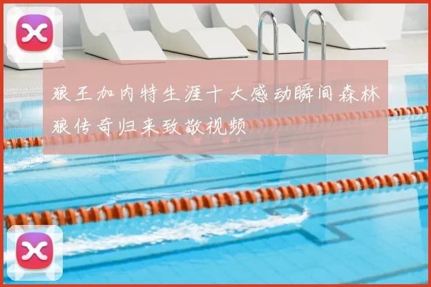 狼王加内特生涯十大感动瞬间森林狼传奇归来致敬视频