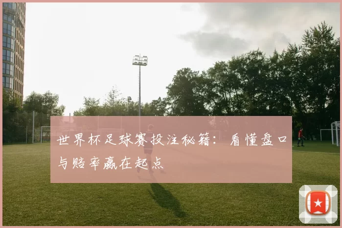 世界杯足球赛投注秘籍:看懂盘口与赔率赢在起点