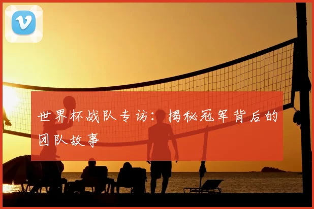 世界杯战队专访：揭秘冠军背后的团队故事