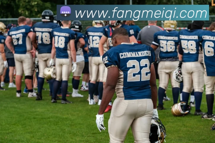 App Interface Preview